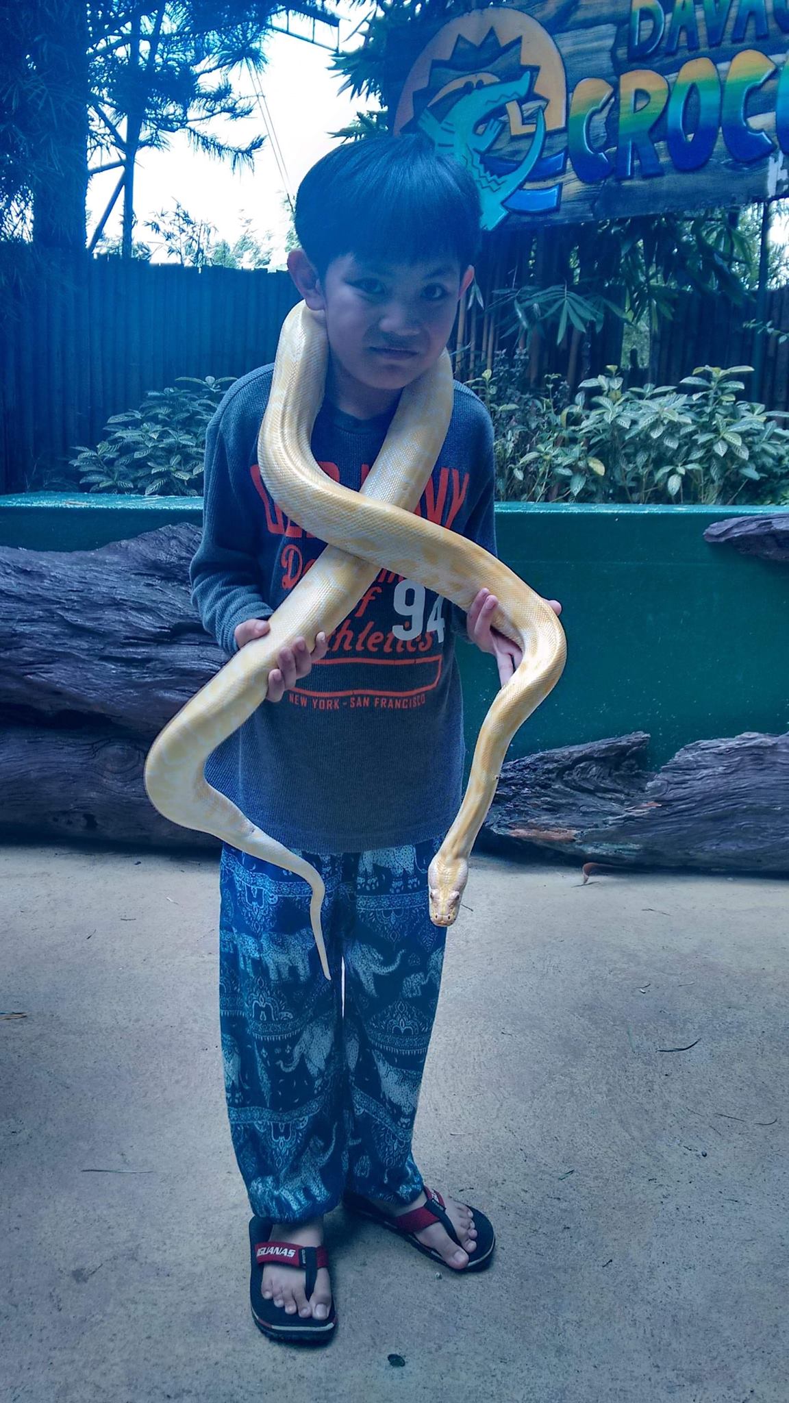 48387217_2409964049018038_2945131324807053312_o