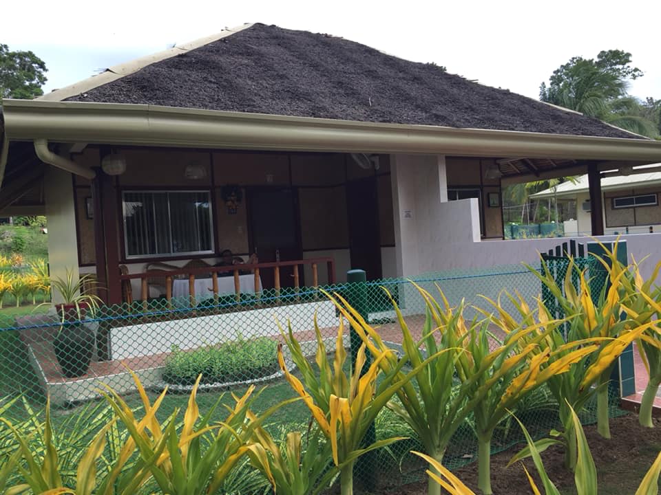 48415839_10218539433541462_203658600327938048_n